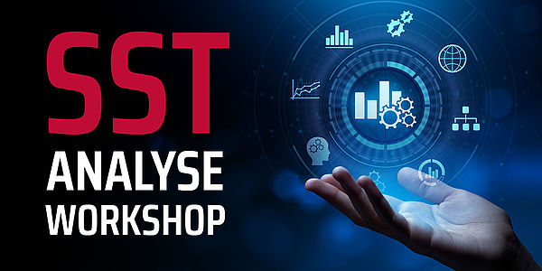 SST Analyse-Workshop